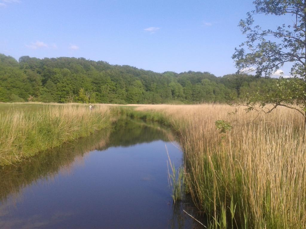 Ostsee Reetkate Langballig Bilik gambar