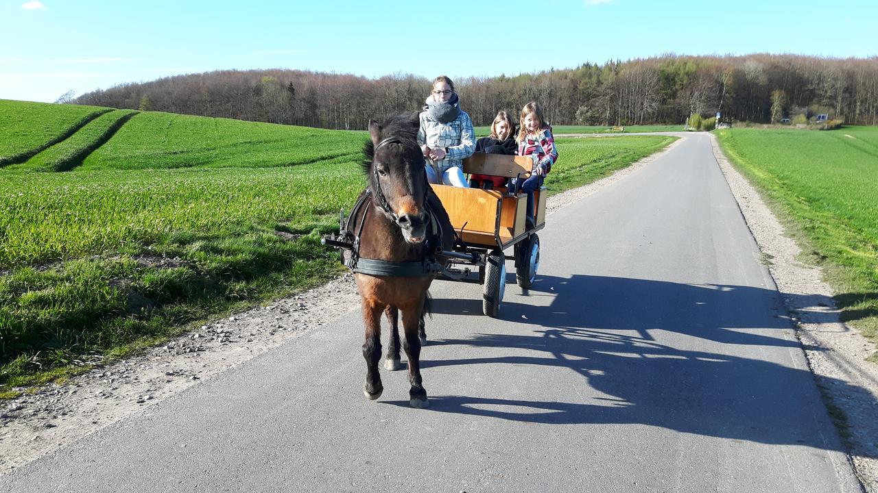 Ostsee Reetkate Langballig Luaran gambar